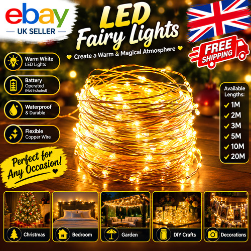 Fairy string lights - fairy,