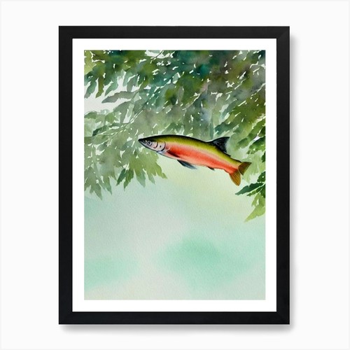 Salmon storybook watercolour - salmon,