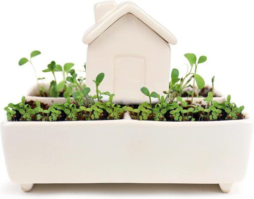 Gift republic self watering - republic,