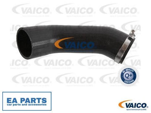 Charge air hose - air,