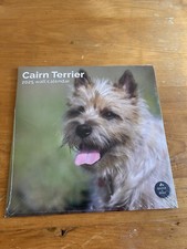 Cairn Terrier Calendar 2025 -
