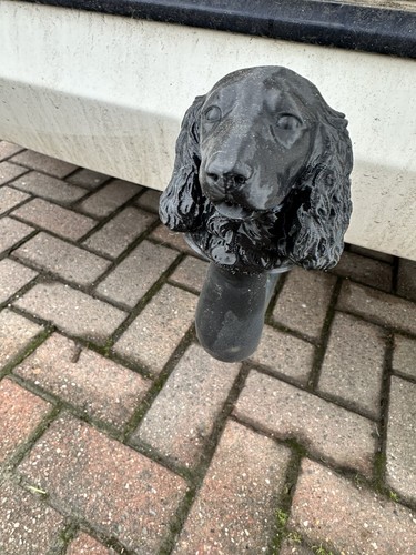 Spaniel dog tow bar - dog,