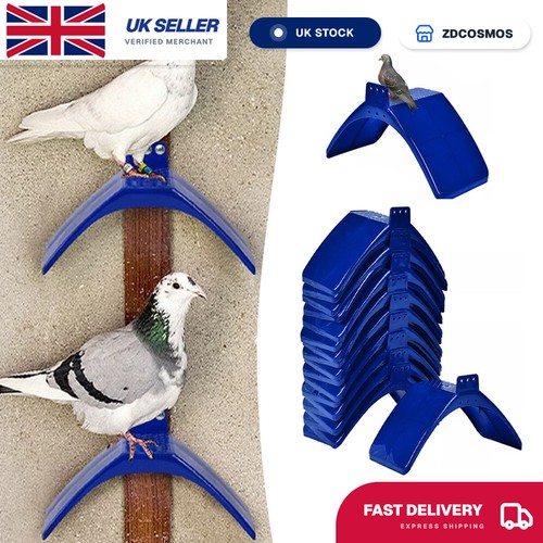 Dove pigeon rest stand frame - dove,