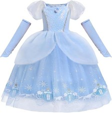 Girls Cinderella Costume Blue