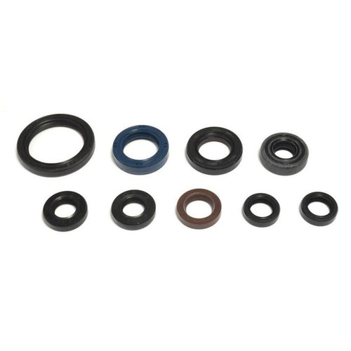 Engine gasket kit 735 04 - kit, 735.65.04