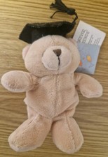 Forever Friends Small Bear Graduate Plush Graduation Hallmark Vintage Well Done 