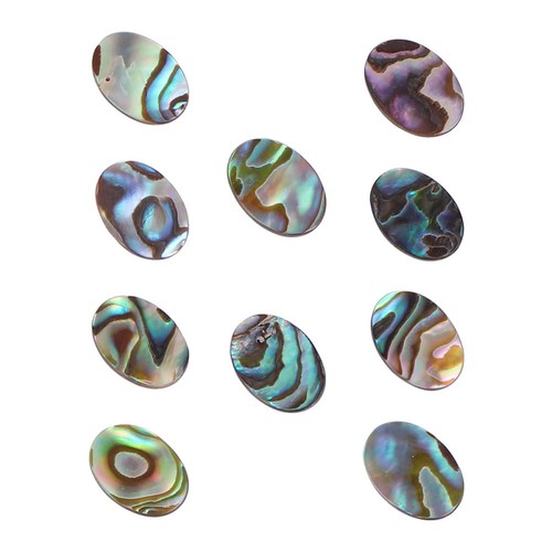 Abalone shell jewelry parts - shell,