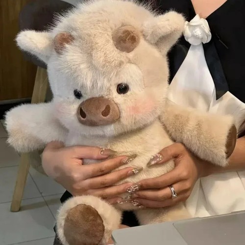 Highland cow plush - toy, 40cm