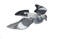 Floating Pigeon Decoy w/