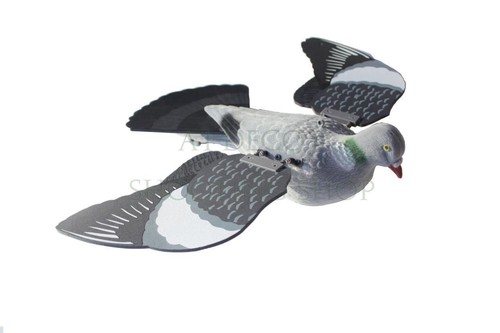 Floating pigeon decoy - pigeon,