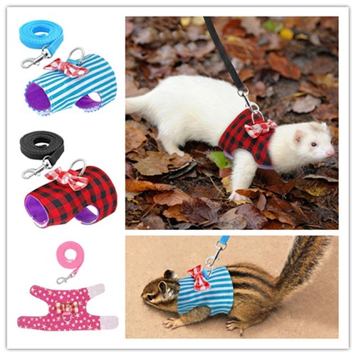 Pet ferret adjustable squirrel - pet,