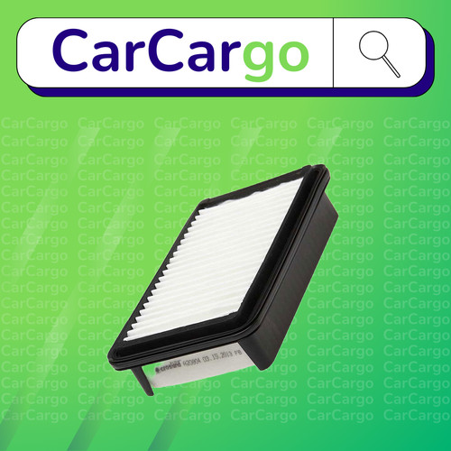 Air filter for - filter, carry