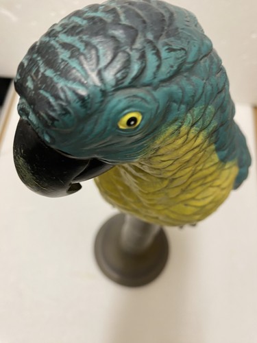 Blue wings macaw parrot - blue,