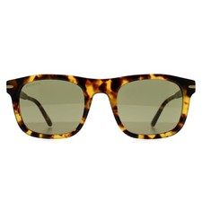 Serengeti Sunglasses Charlton