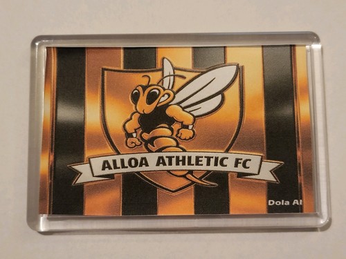 Alloa athletic football - alloa,