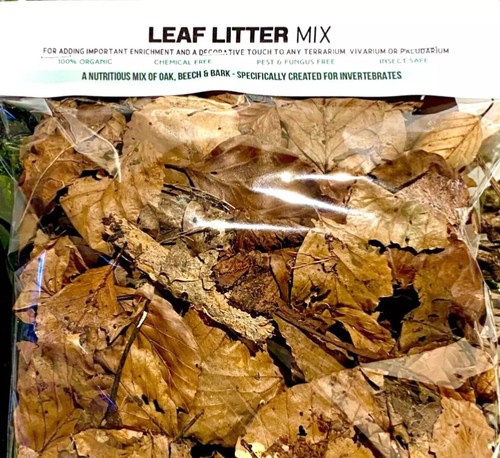 Rainforest leaf litter mix - rainforest,
