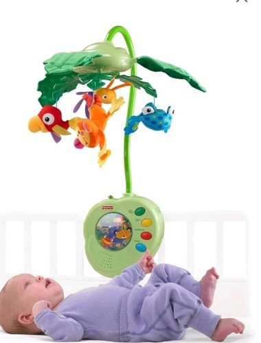 2007 fisher price rainforest - 2007,