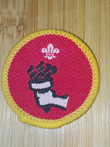 Scouting cub scout activity - scouting,