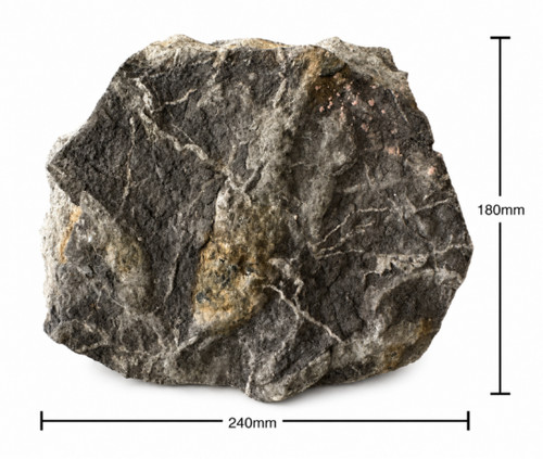Dinosaur fossil footprint - , –