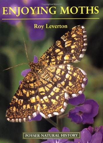 Enjoying moths - enjoying,