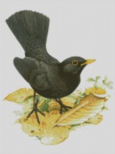 Cross Stitch Pattern, Garden