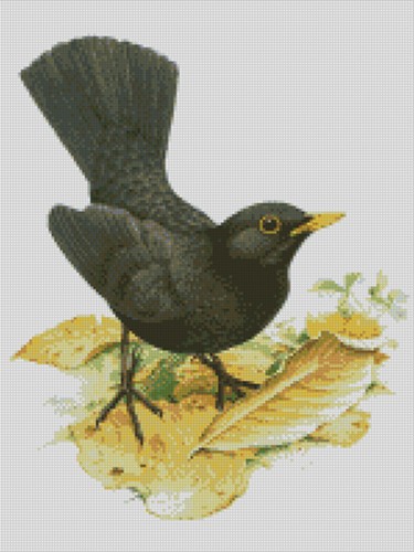 Cross stitch pattern garden - stitch,