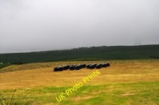 Photo 6x4 Silage Bales