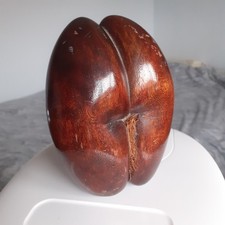 Very Shapely Polished Coco de Mer Nut Sea Coconut from Seychelles small-medium