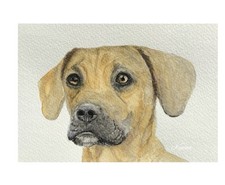 Painting Hand Painted watercolour Dog Portrait A6 Unframed Art By Kenna