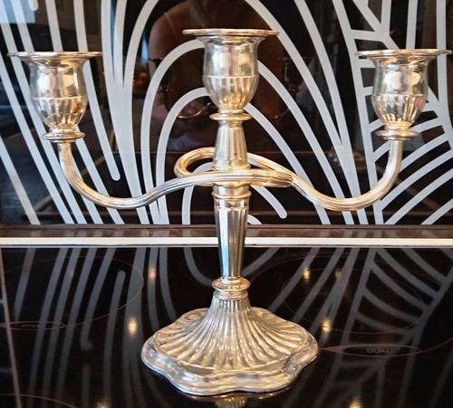 Vintage silver plate arm - vintage,