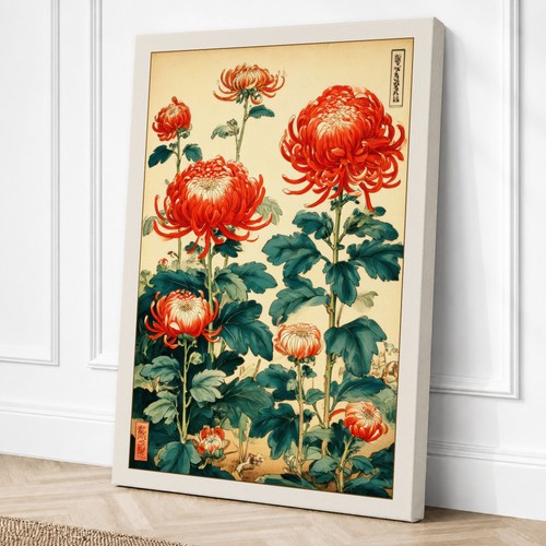Chrysanthemum study botanical - chrysanthemum,