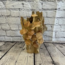 30cm Tall Mushrooms Cluster