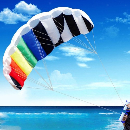 Dual line stunt kite - stunt, entry