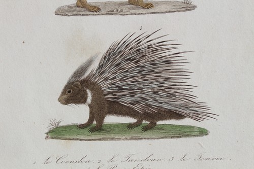 Colorful engraving circa - , 1830