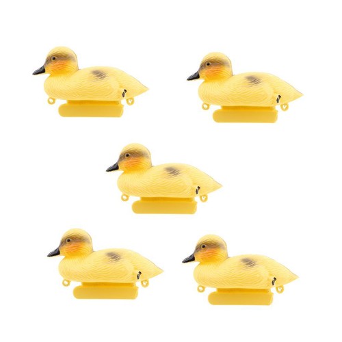Floating duck ducklings - floating,