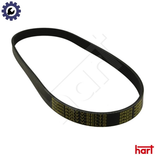 Vribbed belt 368 - vribbed, skoda