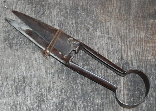 Antique sheffield sheep shears - sheep,