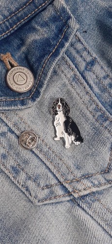 Springer spaniel dog pet - pet, pin