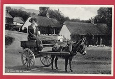 Donkey Cart Social History  A