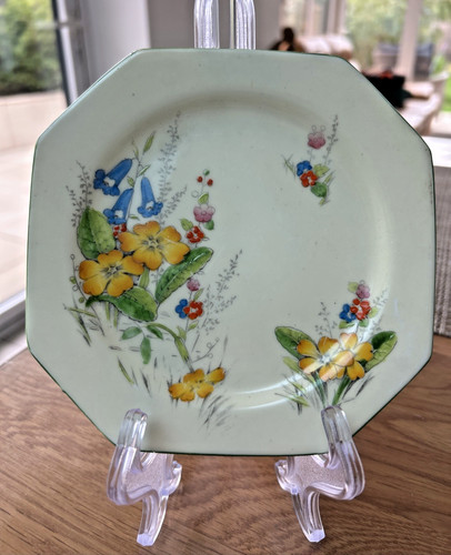 Royal paragon primrose - royal, art