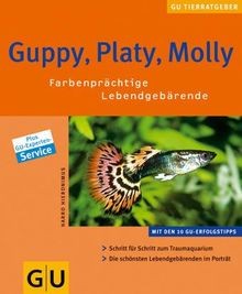Guppy platy molly - guppy,, platy,
