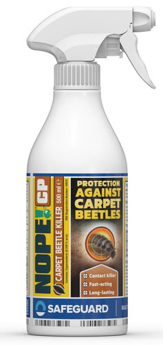 Nope carpet beetle - carpet,