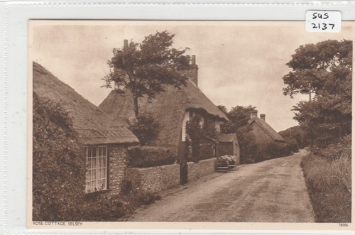 Selsey sussex rose cottage - ,
