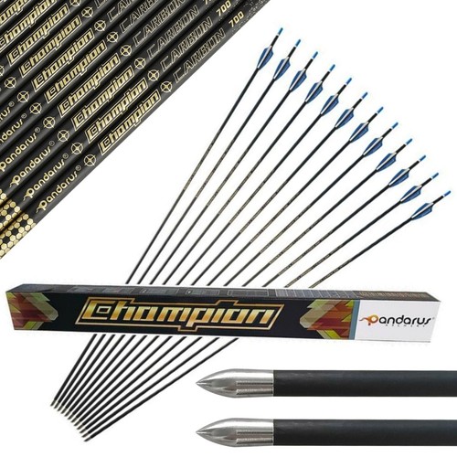 12pcs pure carbon arrows - 12pcs,