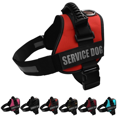Albcorp reflective service dog - service,