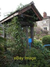 Photo 6x4 A vintage cattle