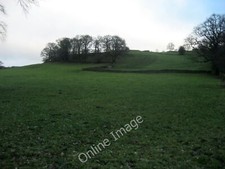 Photo 6x4 Pastures near Bolton