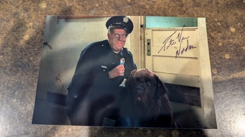 Police academy peter - academy,