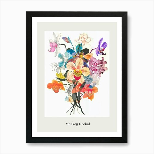Monkey orchid collage - collage, flower