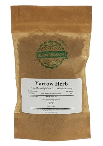 Yarrow herb achillea - yarrow, |